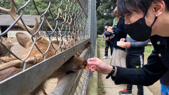 社内レクレーションに行ってきました！鹿島神宮編③！！