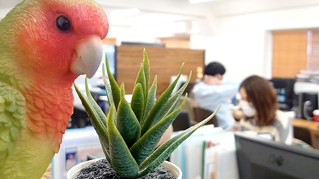 今週説明会します♪