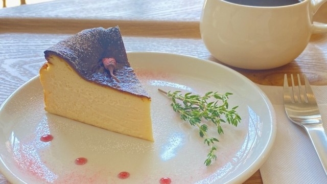 社会人と学生、お給料の使い方の変化！