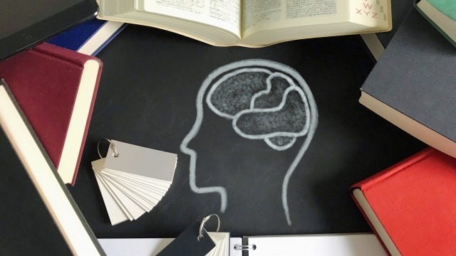 【左脳派と右脳派】褒め方の違い！営業に使えるかも！？