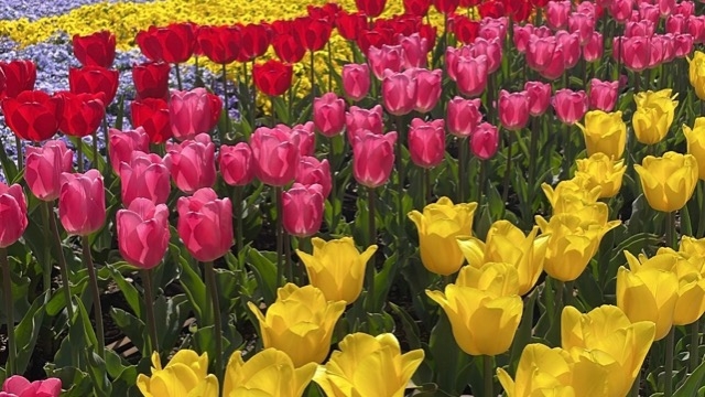 社会人になってからの休日