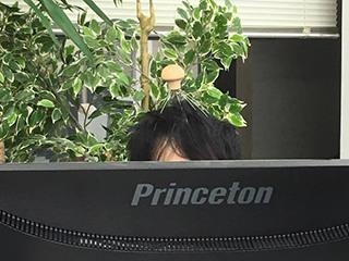 信じるか信じないかはあなた次第です・・・。