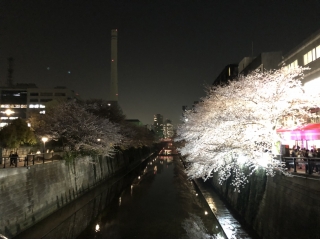 就活を楽しんでみよう！