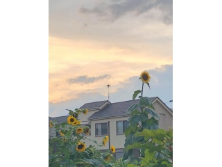 インスタ映え？