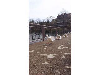 ◆羽ばたけ！！◆