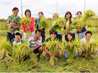 5カ国11名の社員が稲刈り研修に参加してきました☆