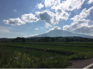 出張行ってきました！