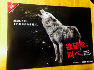 自社パンフレット…完成！！