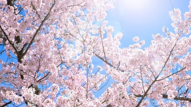 3Qも終了、いよいよ4月！