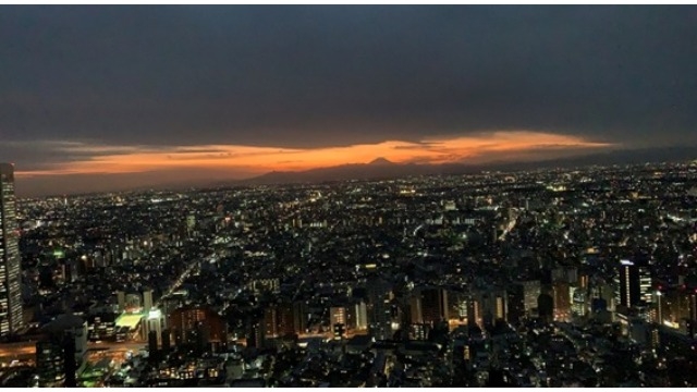 都庁からの景色