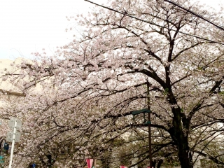 会社説明 随時個別対応中