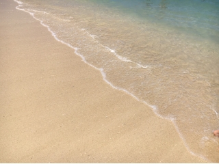 【会社説明会】7月の日程追加しました！