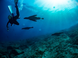 ★内定を既に貰っている方限定★