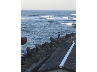 休日も仲良し(･ω･ﾉ)ﾉ！サインウェーブ釣り部…？！