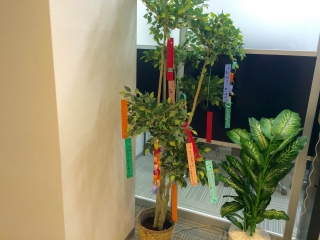 お願いごと…☆彡