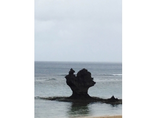 ☆サインウェーブ夏休み紹介～橋田専務編～☆