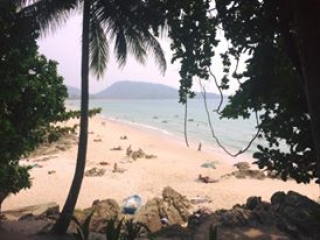 お盆ですね(´・ω・｀)