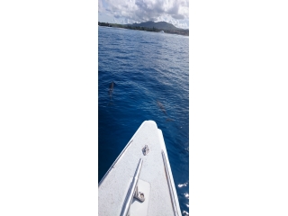 夏休み紹介★～エンジニア・足高編～