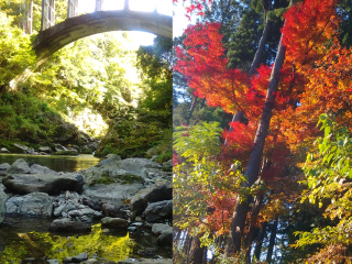 休日の過ごし方～エンジニア編～