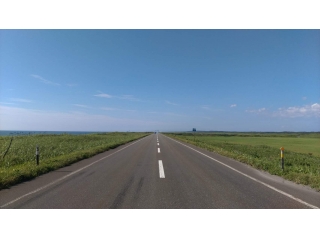 新卒自己紹介＠金野