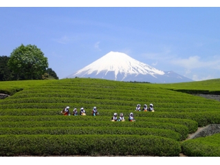 新卒自己紹介　大矢部
