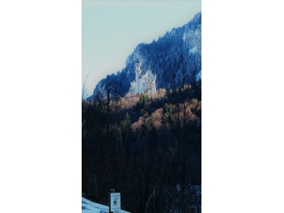 新卒自己紹介 その３ ☆彡