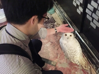 【フクロウカフェへ！！】