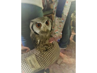 ワンポイントアドバイスNo.1☆彡バックオフィスマネジャーより