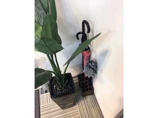 ワンポイントアドバイスNo.2☆彡 バックオフィスマネジャーより