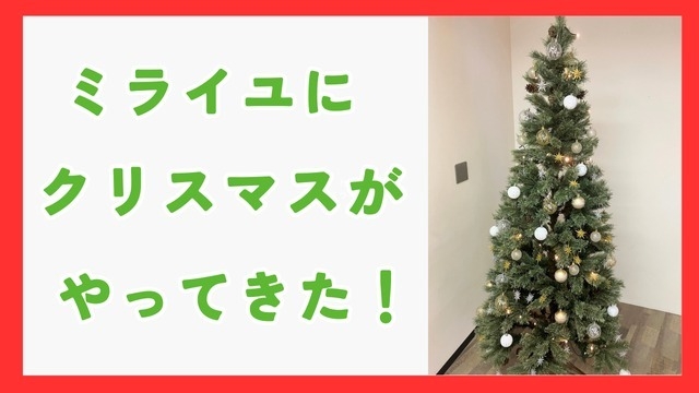 クリスマスまであと1か月♪