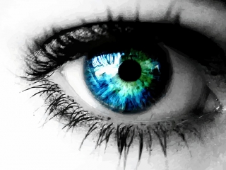 【　目の力　】