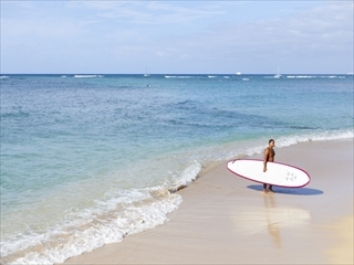 ハワイ出張だより