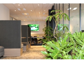 オフィス緑化計画実行中！