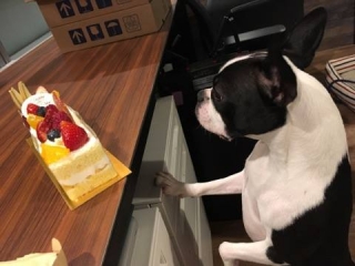 ななちゃんお誕生日☆