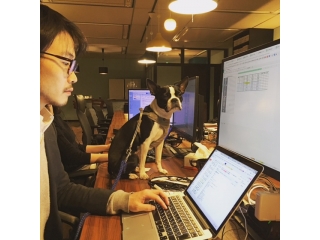 マギー課長のお仕事✩