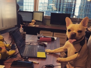 どうも、諭吉部長です