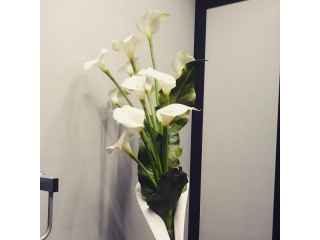 フォズベリー２周年☆その２