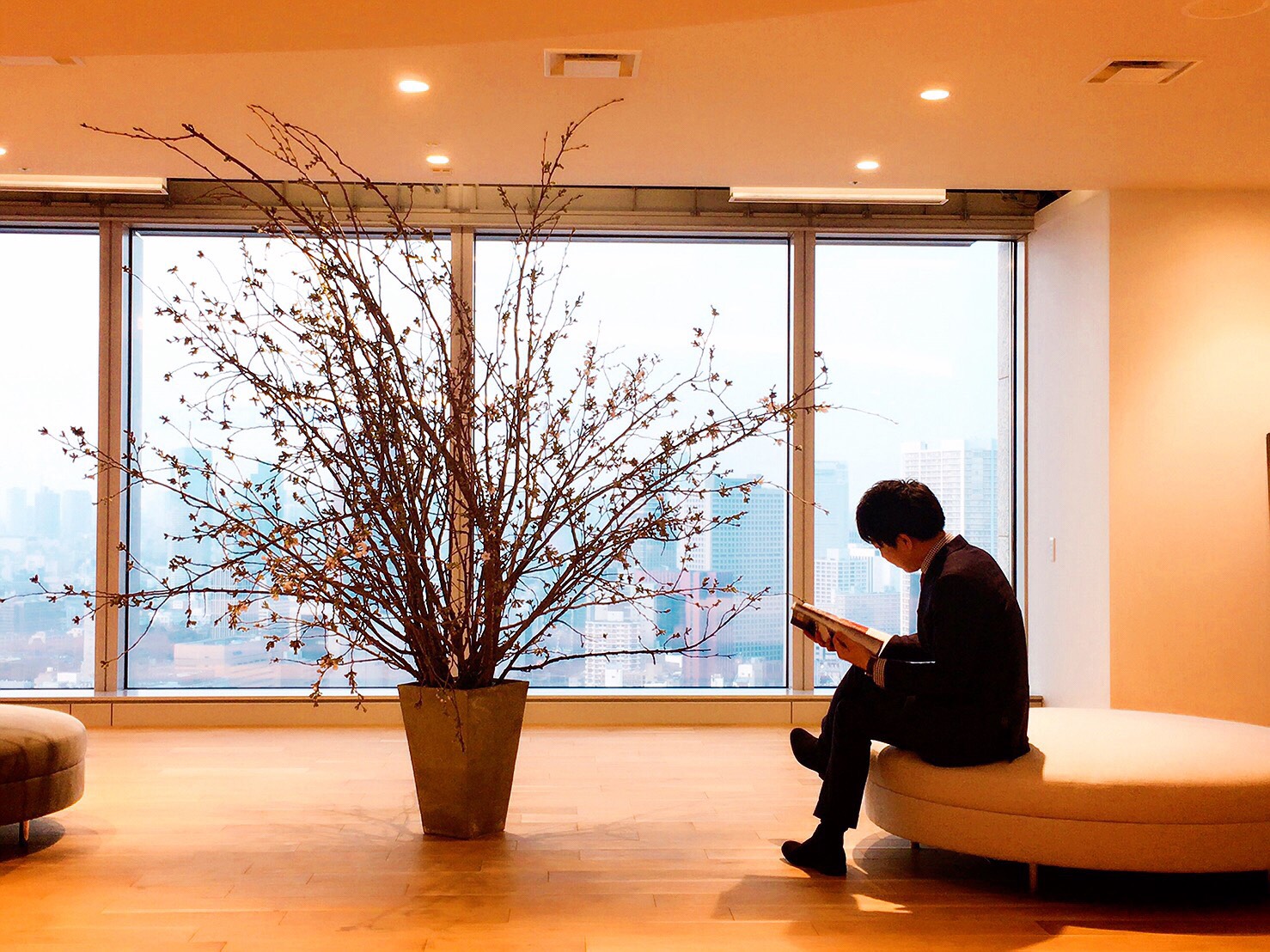 色々な意味で桜の季節です。