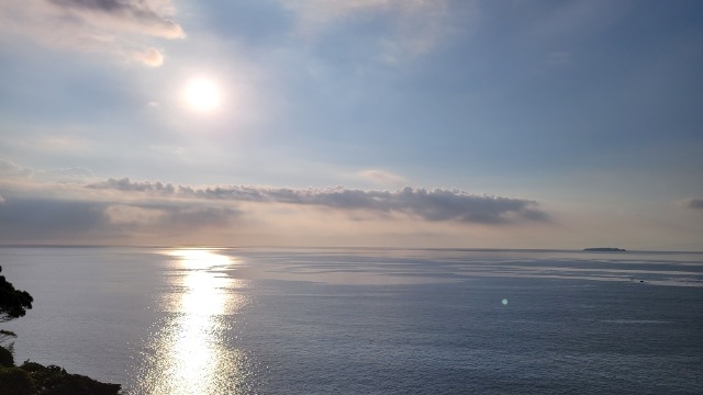 「働く人」を観察するのが好きです★