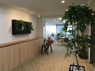 【社内紹介】緑、花、緑！