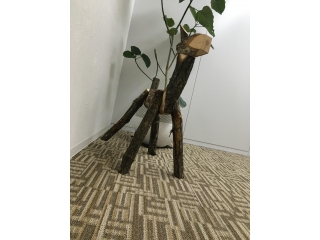 フレアスの新入りさん♪