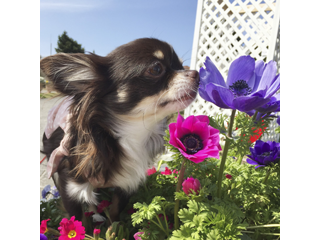 やる気アップ！のコツを教えます★