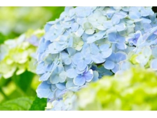 雨だからこそいいことあります♪【株式会社日本ワークス】