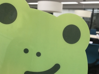 梅雨真っ只中！