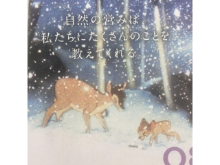 動物から学ぶ事