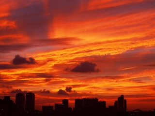 焼け爛れた真っ赤な空