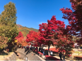 ★就活生必見★社長ブログ