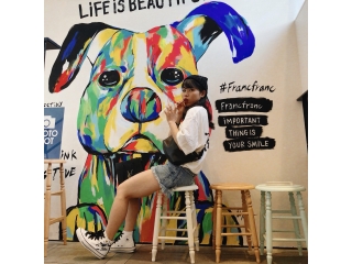 『オアシスの魅力』