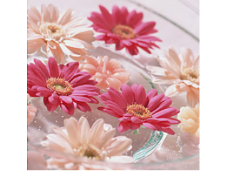 【新年あけましておめでとうございます】ポジティブドリームパーソンズ