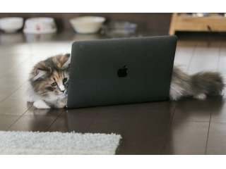 【AG】社員コラム築城さん！読んだらきっと安心します。